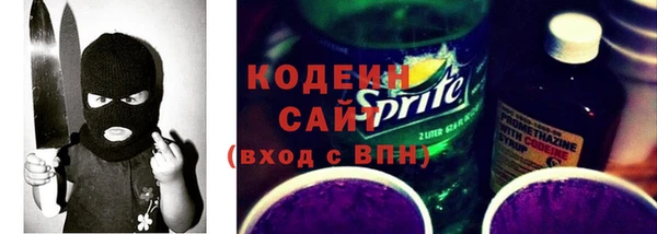 индика Кулебаки