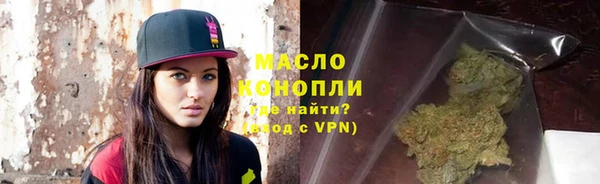 индика Кулебаки