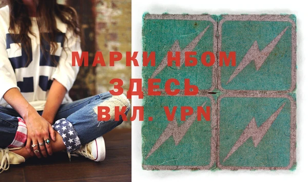 индика Кулебаки