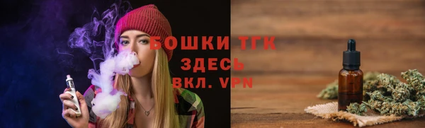 индика Кулебаки