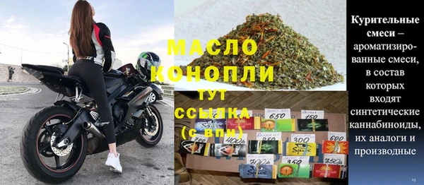 индика Кулебаки