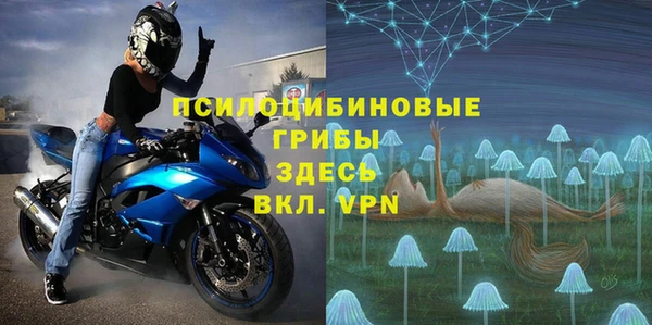 индика Кулебаки