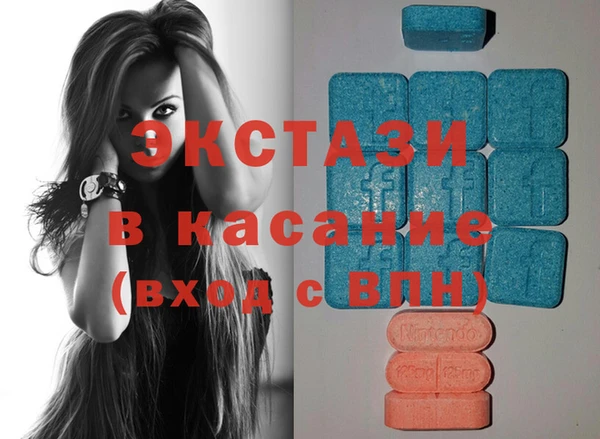 индика Кулебаки