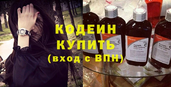 соль ск Кукмор