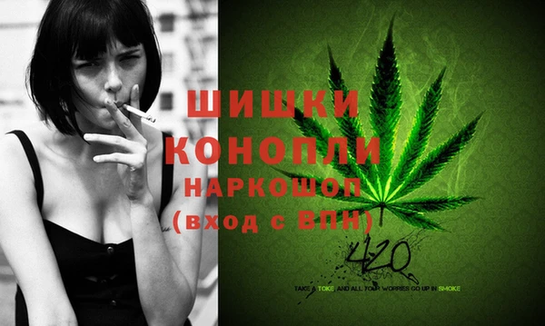 соль ск Кукмор
