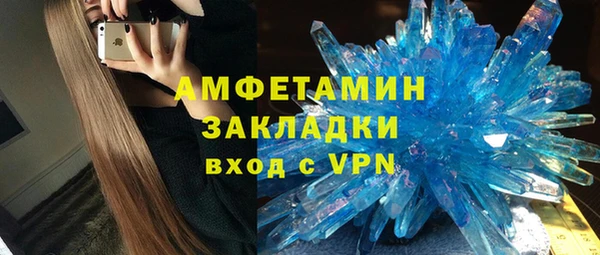 индика Кулебаки
