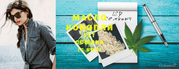соль ск Кукмор