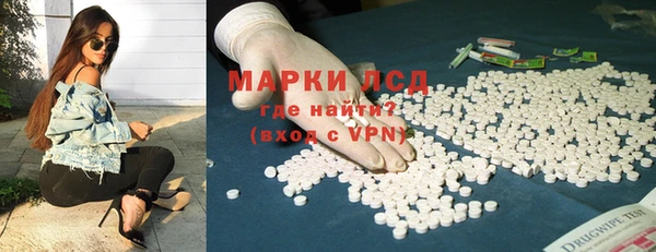 индика Кулебаки