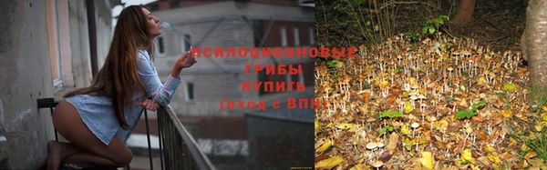 индика Кулебаки