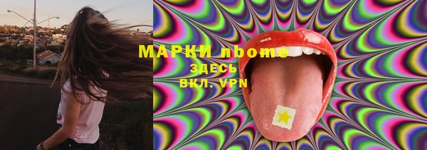 соль ск Кукмор