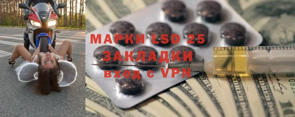индика Кулебаки