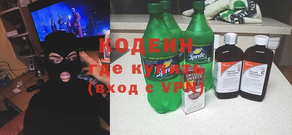 индика Кулебаки