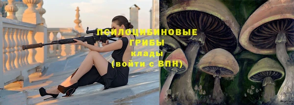 соль ск Кукмор