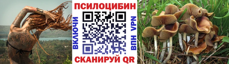 Купить  Анапа  Галлюциногенные грибы мухоморы 