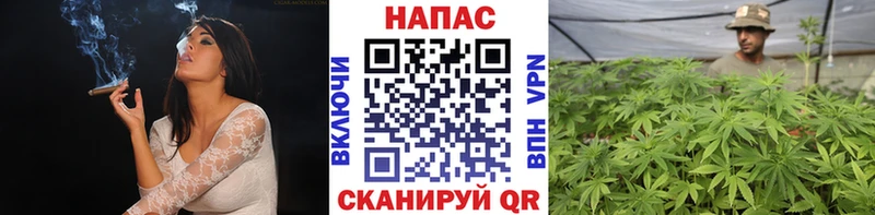Марихуана Bruce Banner Анапа